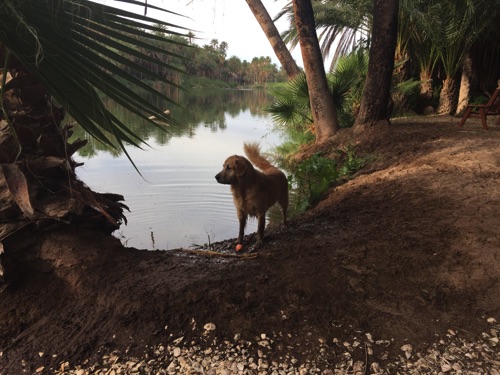 Jake couldn't come on the whale tour but he was able to visit the San Ignacio Oasis