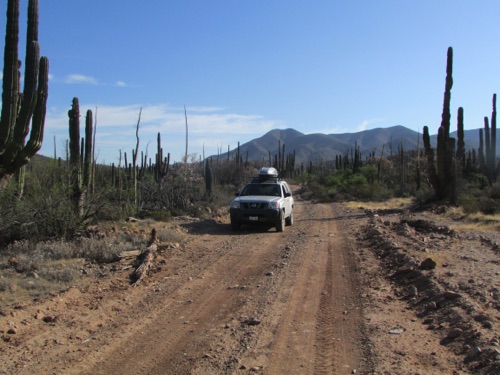 Road to Mision San Borja